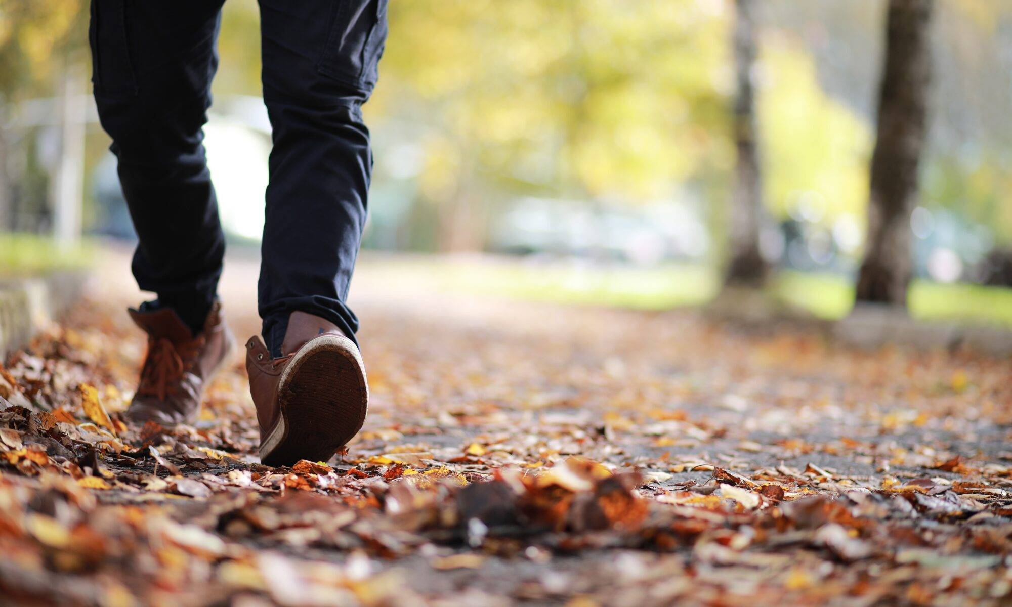 Walking through the autumn leaves