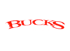 Bucks Platinum LOGO